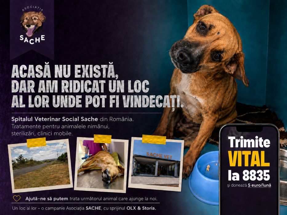 Loc cu acces la drumul public