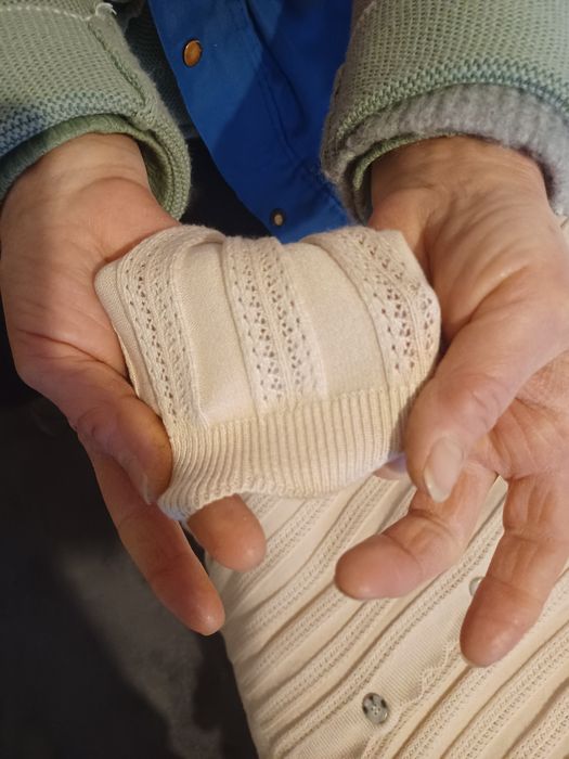 Ploveraș cu nasturi de primăvară damă