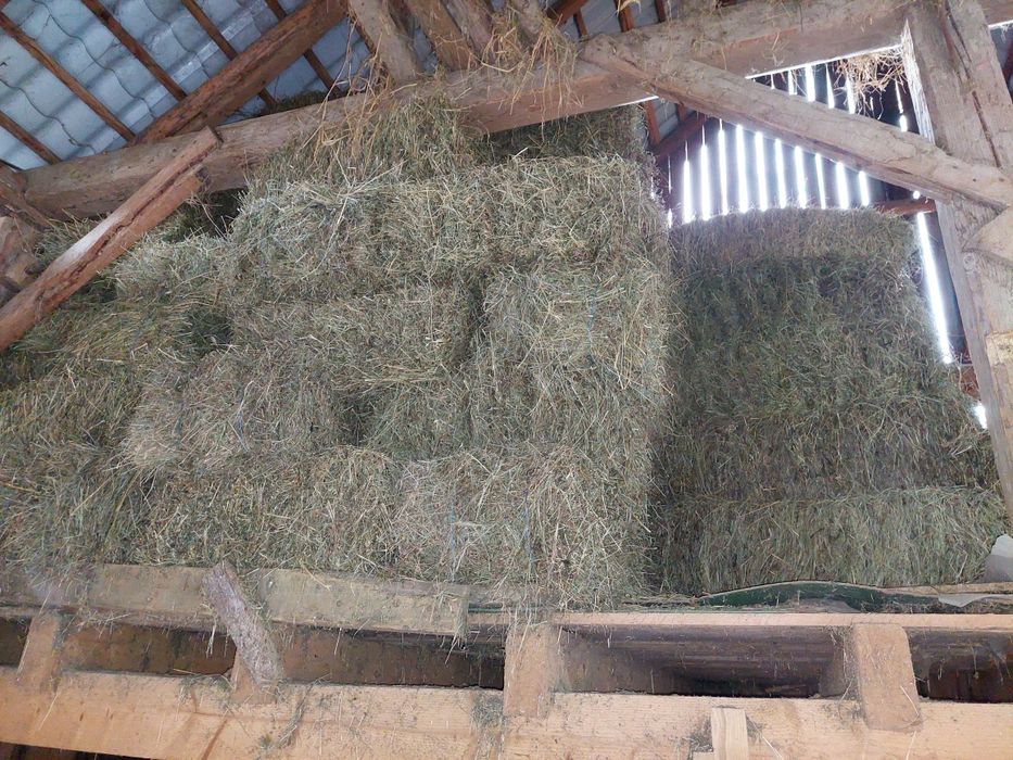 Baloti de otava cu lucerna