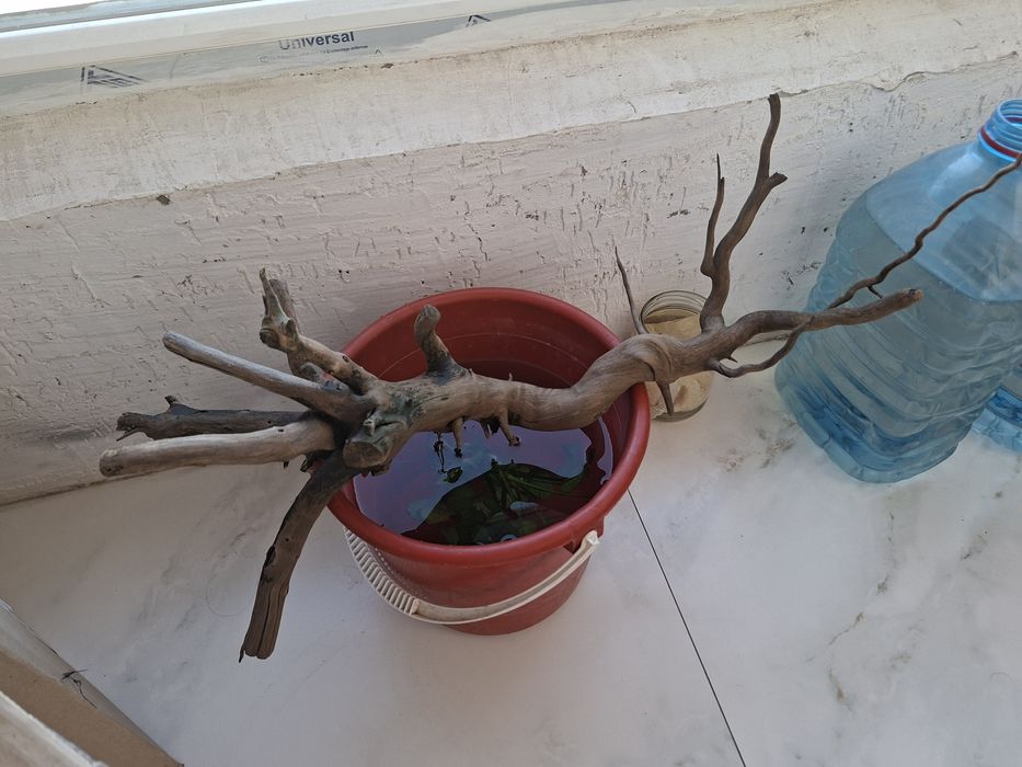 Коряга 50см для аквариума