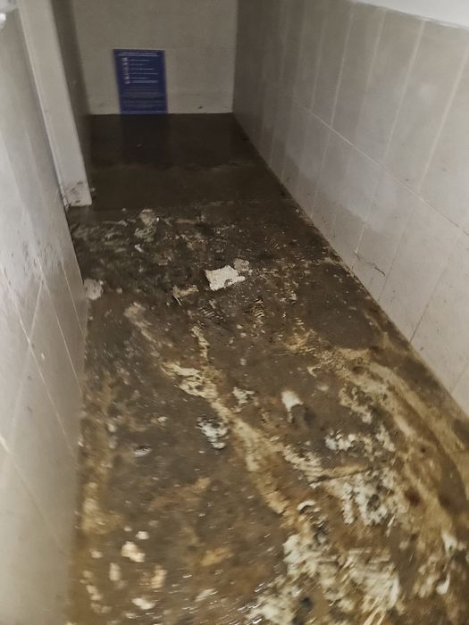 Servicii Profesionale de Curățenie Pitești – Case, Birouri, Scări Bloc
