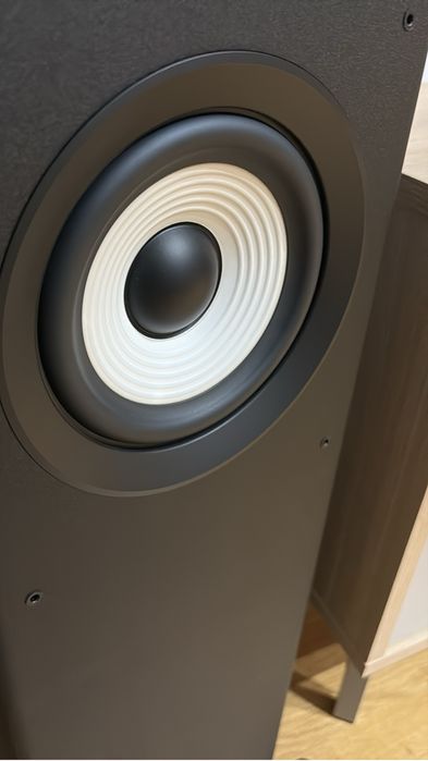 Jbl A180 + Wiim Amp noi