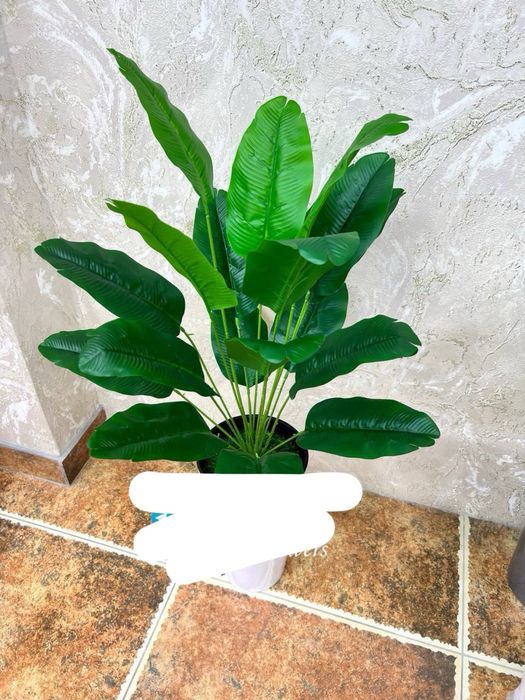 maktab uchun gullar skidkada