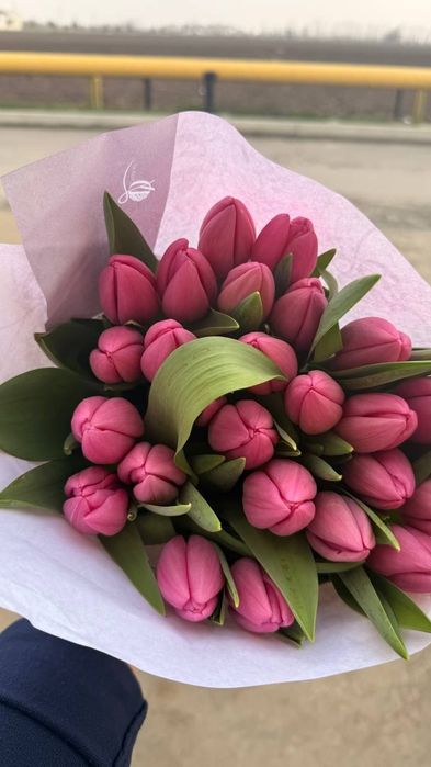 Тюльпаны (Голландская) на 8 марта оптом есть перечисленные