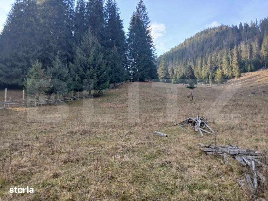 Teren intravilan in Dorna Arini, 1.25 ha, bonus 20 ari teren extravila