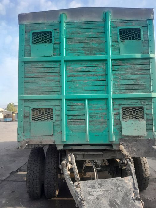 Прцеп каратишка сәл саудасыбар