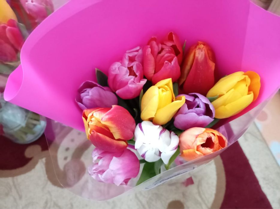11 шт букет тюльпанов