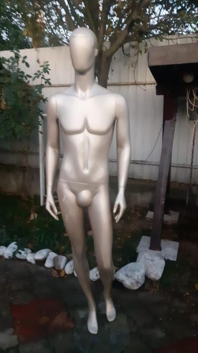 Bărbat vitrina manech in înălțime 1.90