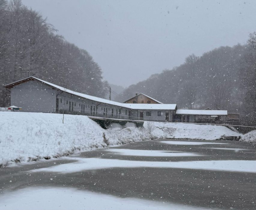 Cabana de Inchiriat Maramures