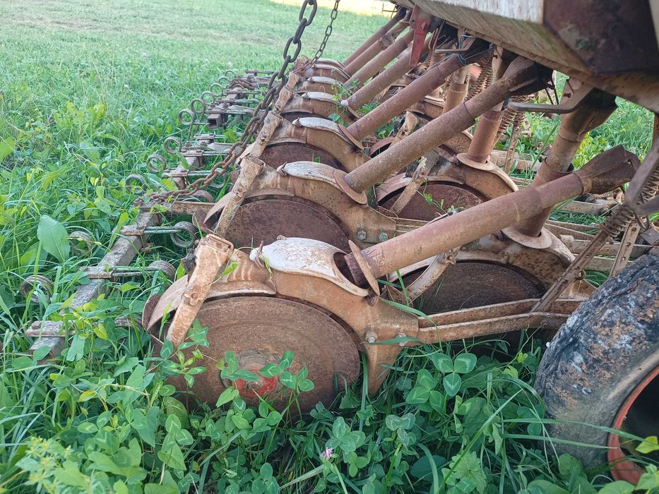 Semanatoare paioase pe discuri