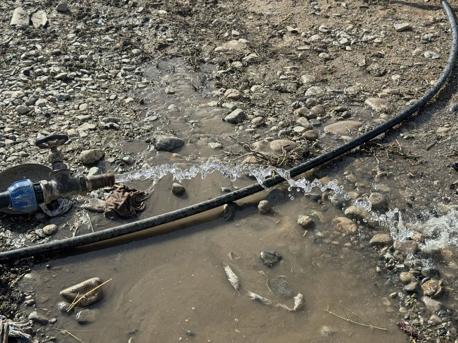 Дача сатылад мал корасымен су бар