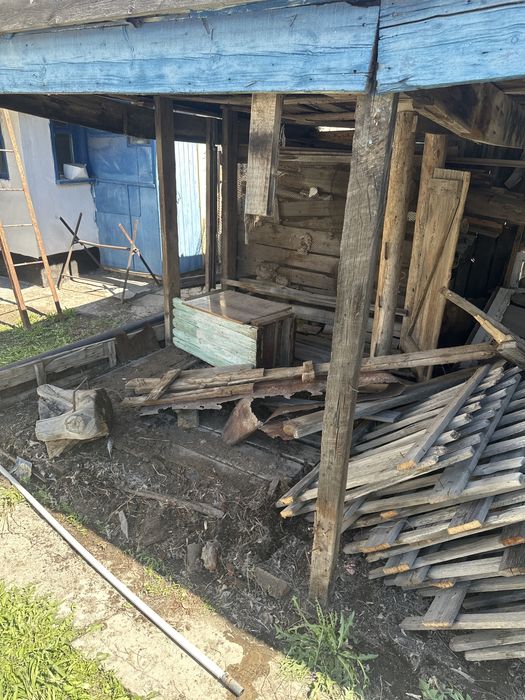 Ағаштар тегін беріледі (1камаз шыгады)