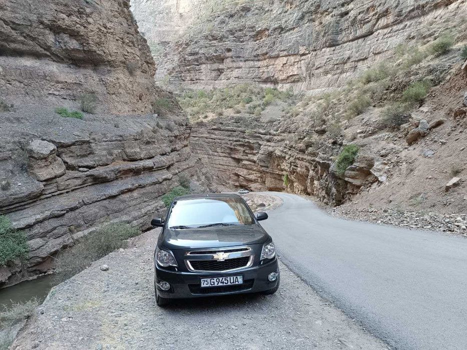 Holati zo`r kraska tozza 100%