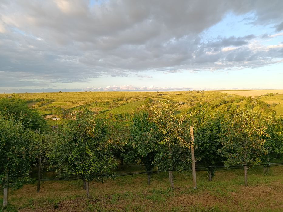 Casa de vânzare în sat Esechioi