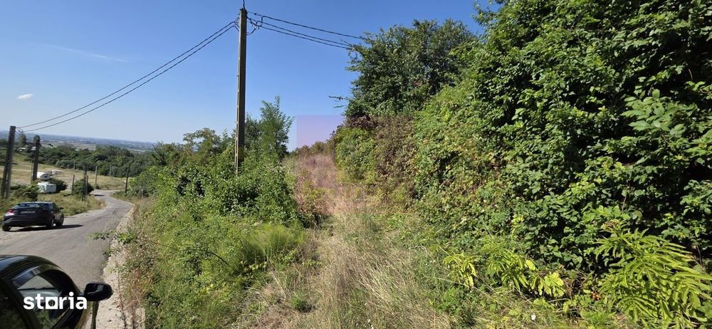 Teren intravilan 4.029 mp de vanzare, zona Crama Seciu