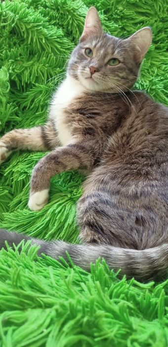 Боня - зеленоглазая красотка