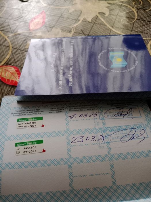 Канадский сфинкс