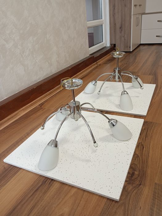 Полилей Ana 2 броя