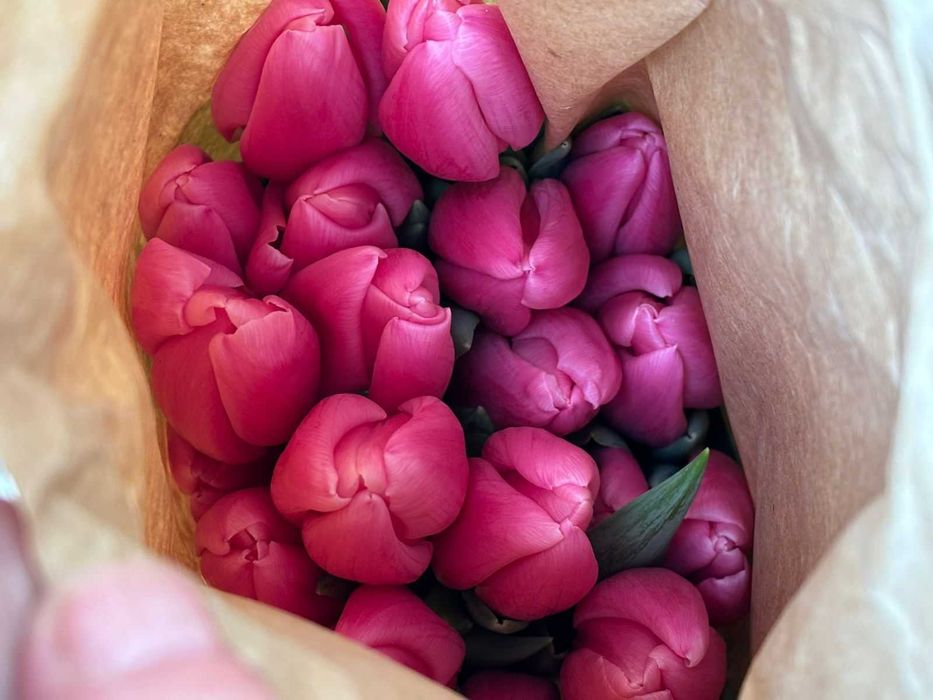 Тюльпаны оптом и в розницу