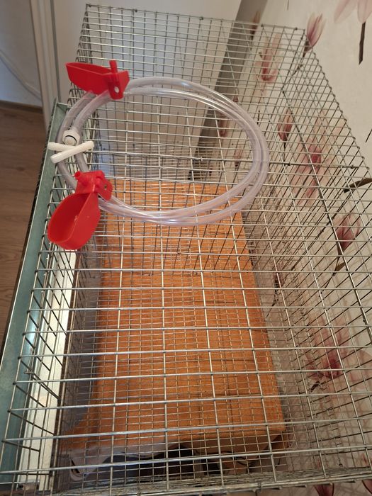 Cusca pui,gaini 90/65/50