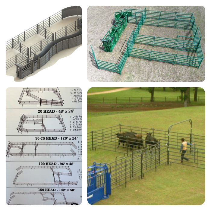 Раскол для крс и лошадей