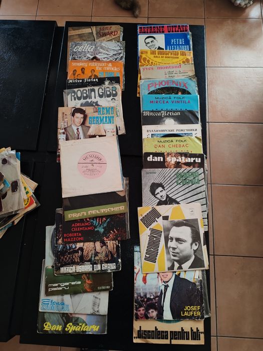 53 viniluri cu muzica ușoară.