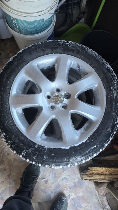 Диски с резиной шипы