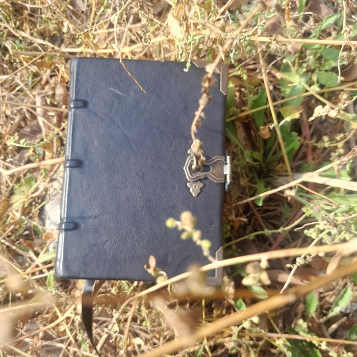 Книга Теней Гримуар