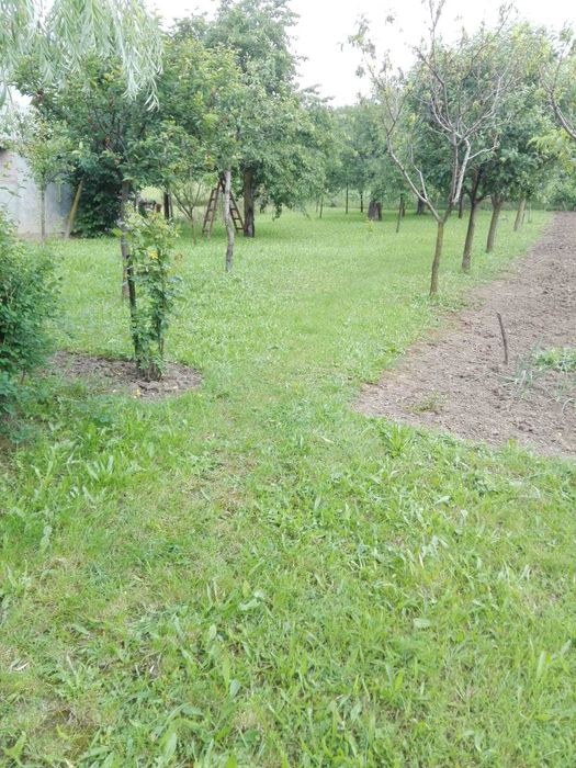 Casă de vânzare în Șiria (Arad) – 2 case, grădină mare, garaj