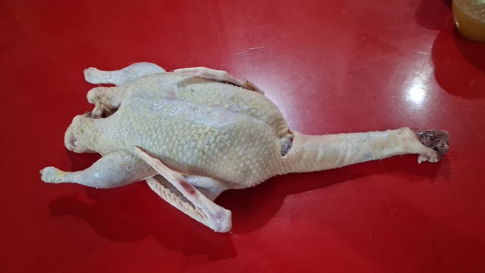 Пиодаётмя мясо домашней птицы.экологочески чистле