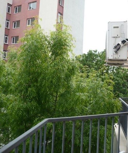 Дава се под наем Едностаен апартамент в София, Люлин 1 - 41 кв.м за 280.5 € - Снимка #5