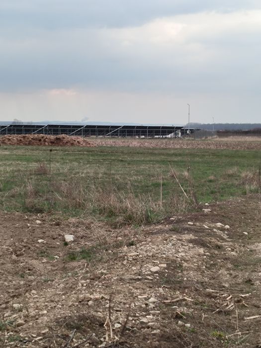 Teren Bucureasa-Danesti 10.000mp