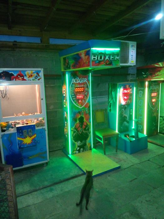 Под наем Боксови Круши  50 на 50 само за бургаска опласт