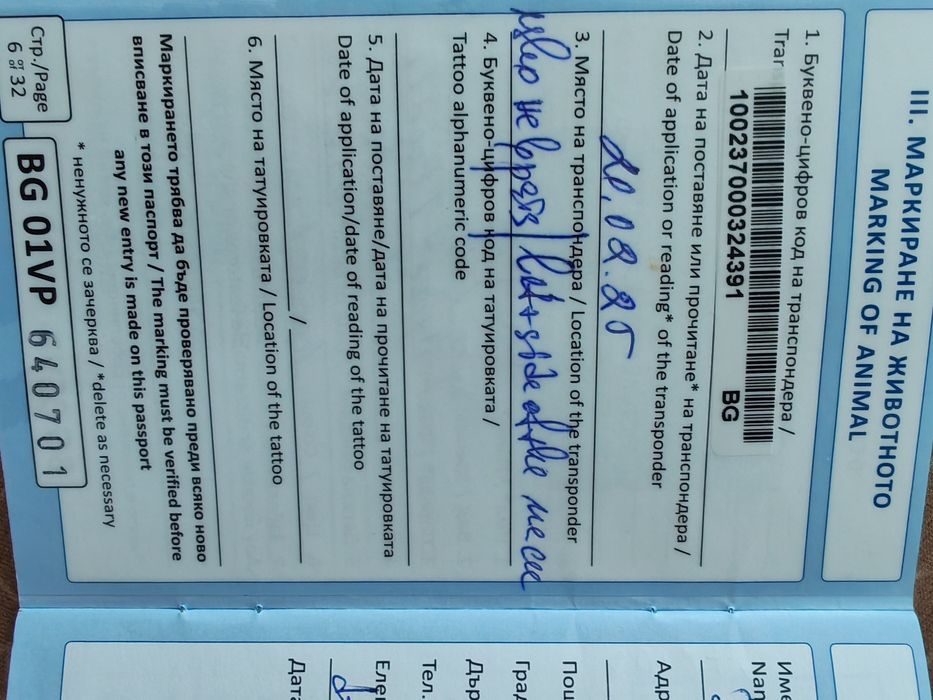 Търсим красива дама за нашия мъжки ТОЙ ПУДЕЛ! (За заплождане)