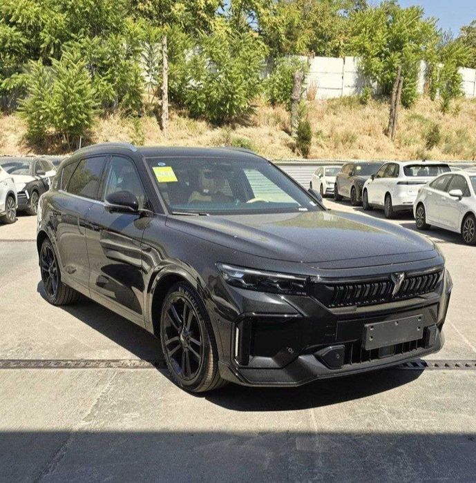 Voyah Free 2025 — 2