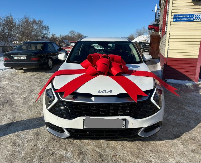 Бант, бантик, автобант для авто