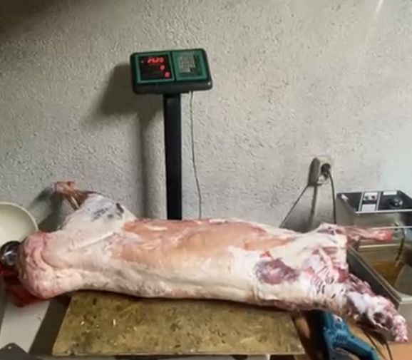 Баранина мясо ет