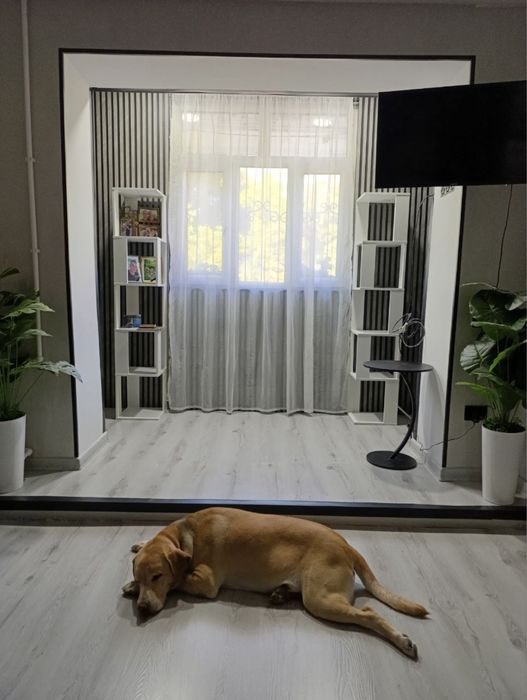 Косметический и капитальный ремонт