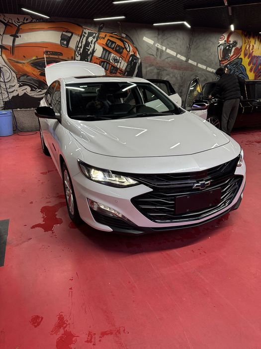 Malibu XL 2024 Жемчуг