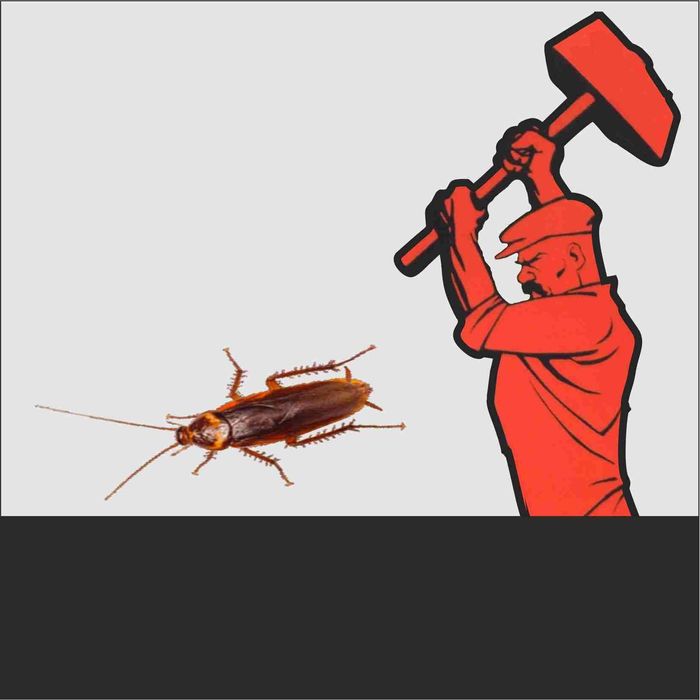 Гель от тараканов Dupont Advion Cockroach Gel