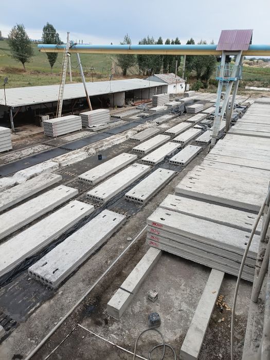 Plita Beton maxsuloti