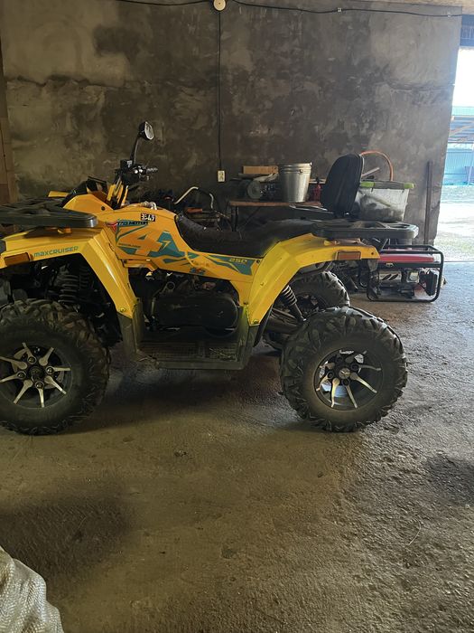 Продам Тао Motor MaxCruiser 250