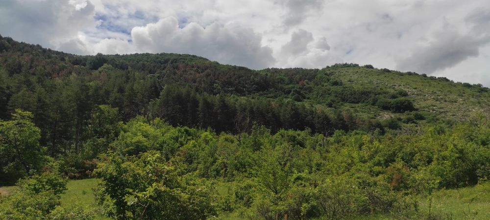 Земя за къща вила или ранчо