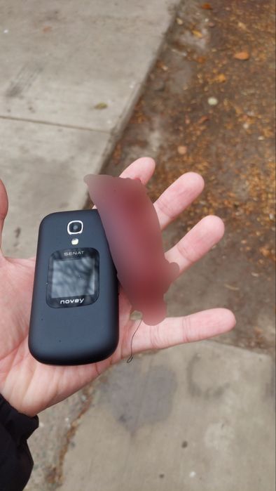 Novey senat ideal holatda 280 000 som