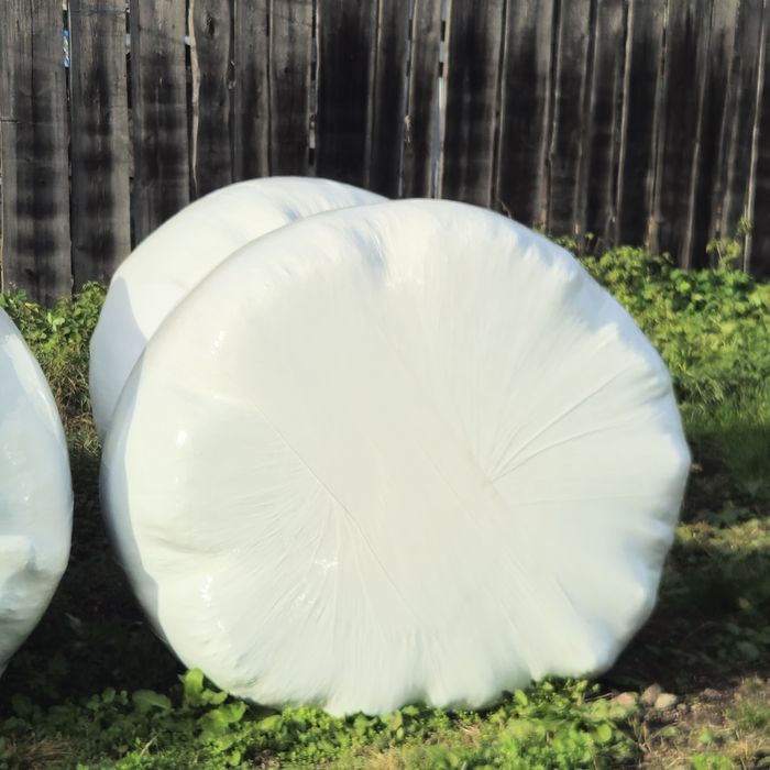 Baloti lucerna infoliati/siloz lucerna