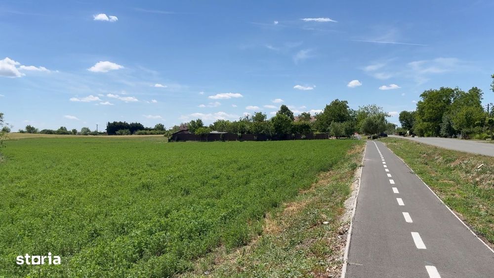Teren intravilan Zadareni-Bodrogul Nou 8000mp / 141m front - Sosea