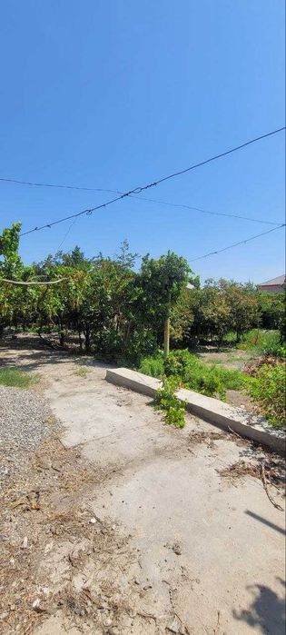 Эълон 22 сотхли ховли сотилади Куштепада