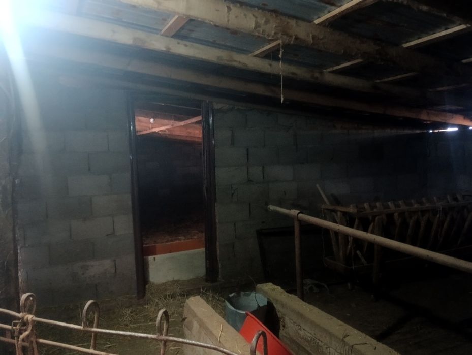 Ореке арты гор газ