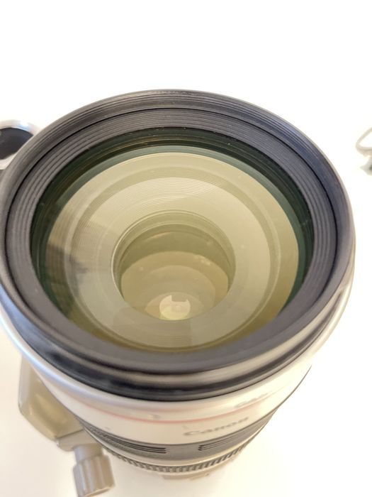 Canon EF 100-400mm f/4.5-5.6L IS USM