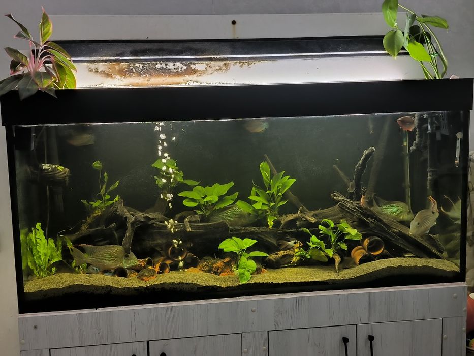 Аквариум заводской